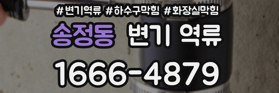 송정동 변기 역류