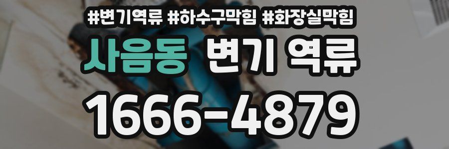 사음동 변기 역류