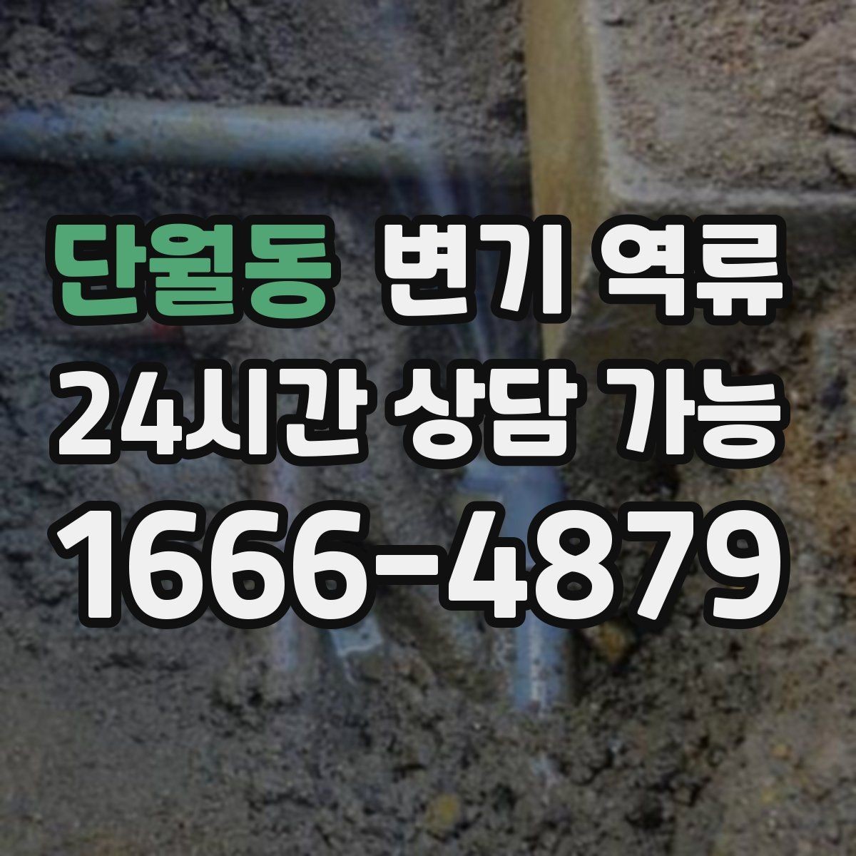단월동 변기 역류 오염물이 보일 때 절대 하면 안 되는 행동