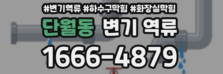 단월동 변기 역류
