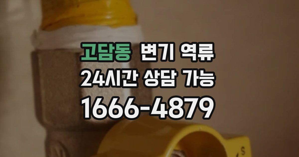 고담동 변기 역류