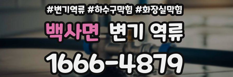 백사면 변기 역류