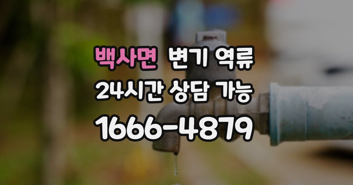 백사면 변기 역류