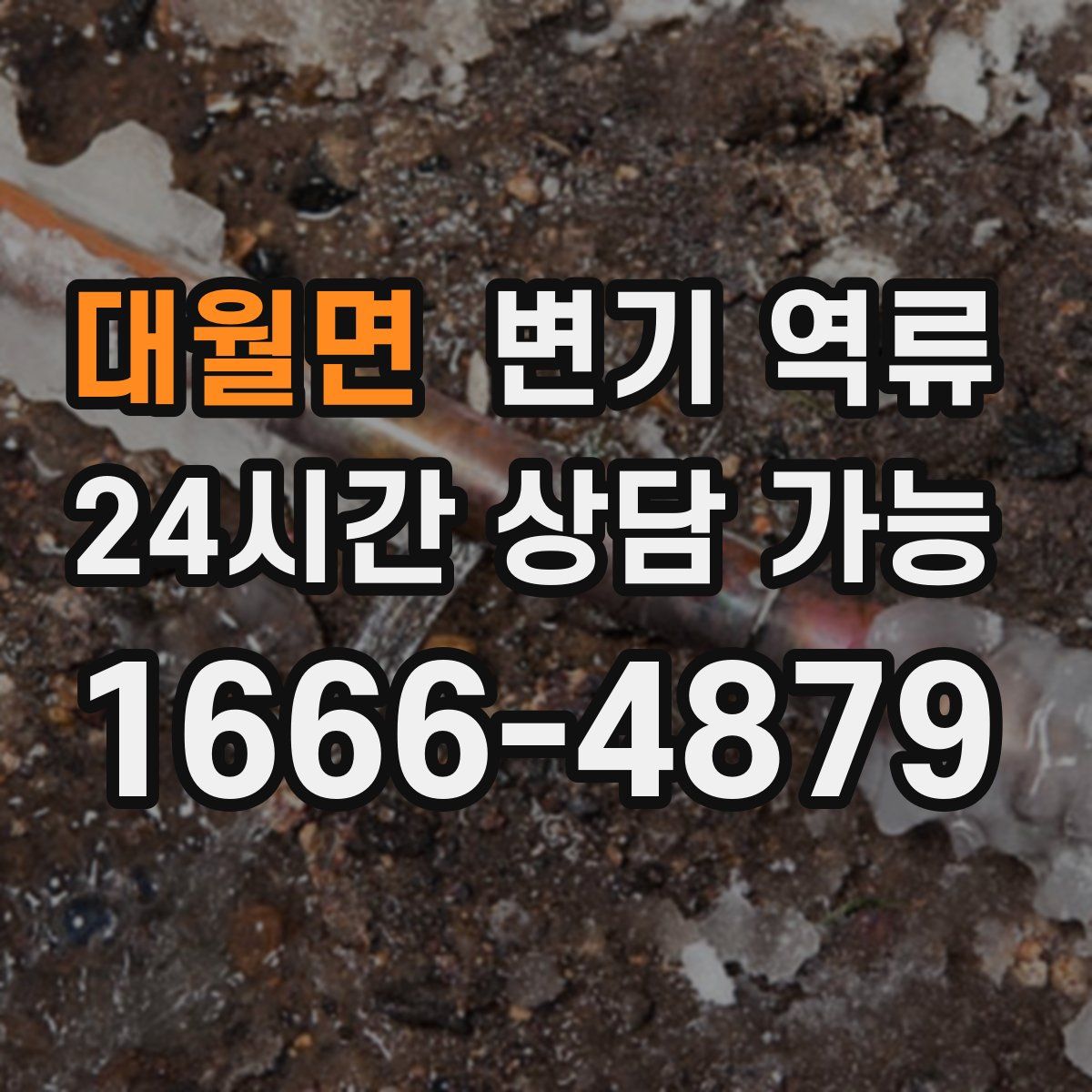 대월면 변기 역류