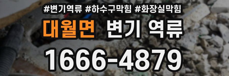 대월면 변기 역류