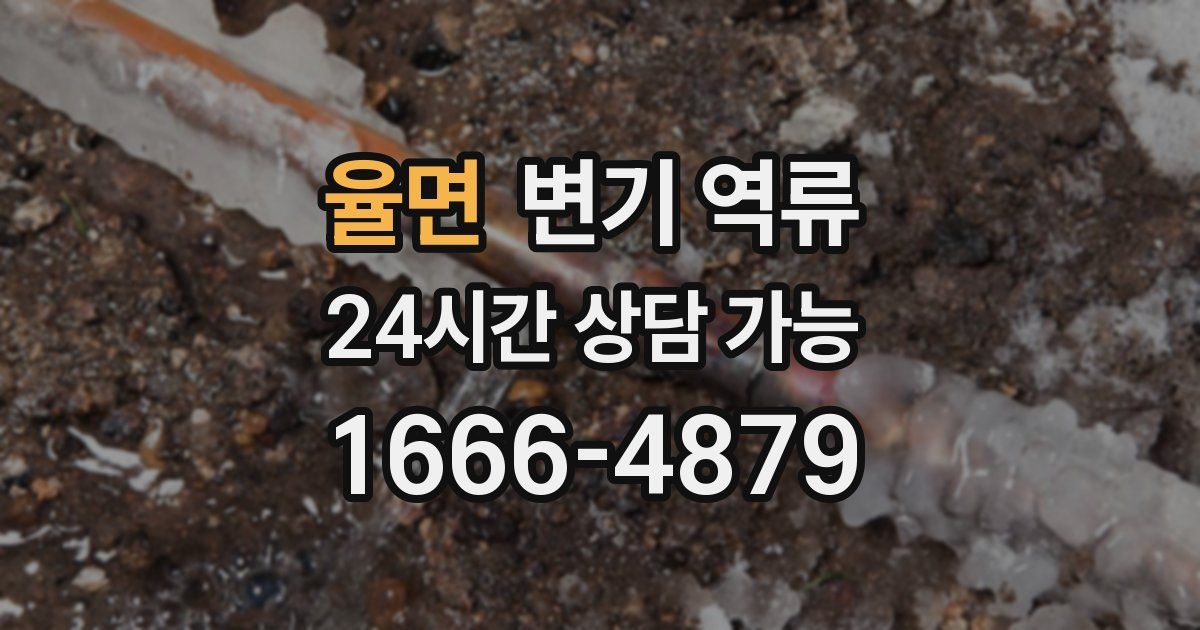 율면 변기 역류