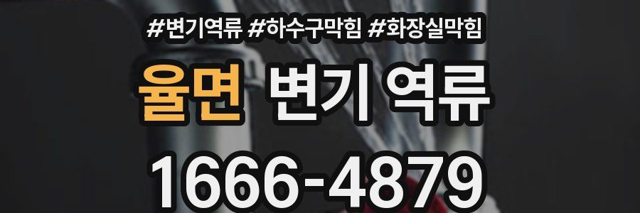 율면 변기 역류