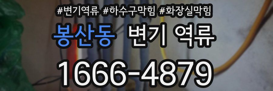 봉산동 변기 역류