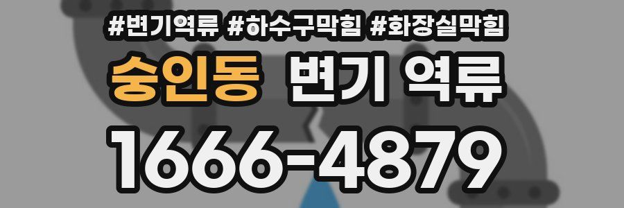 숭인동 변기 역류