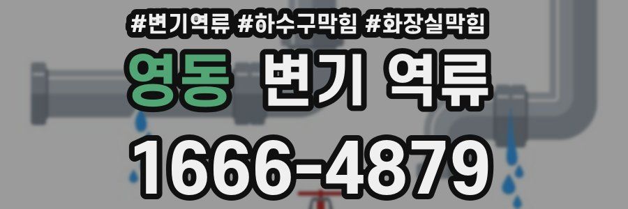 영동 변기 역류