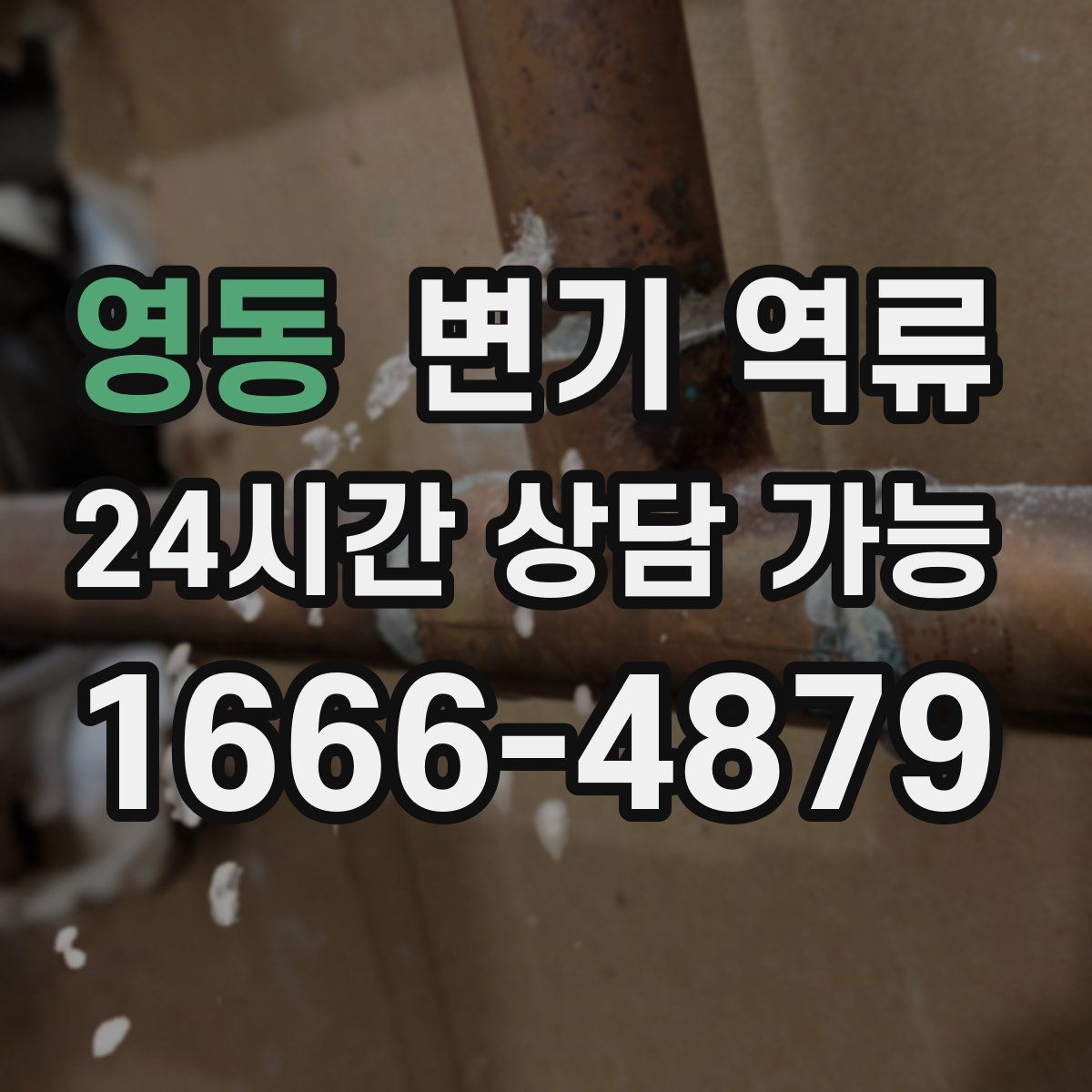 영동 변기 역류