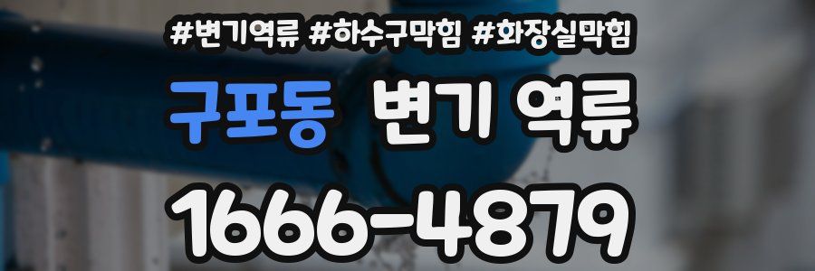 구포동 변기 역류