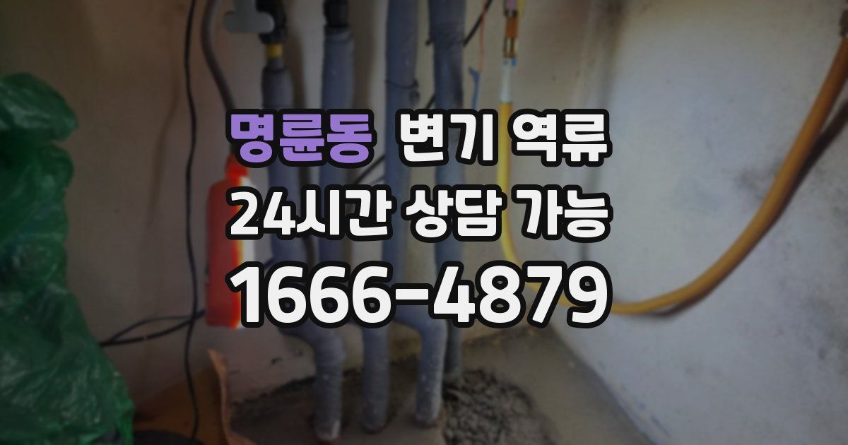 명륜동 변기 역류