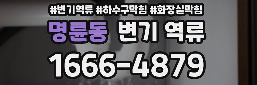 명륜동 변기 역류