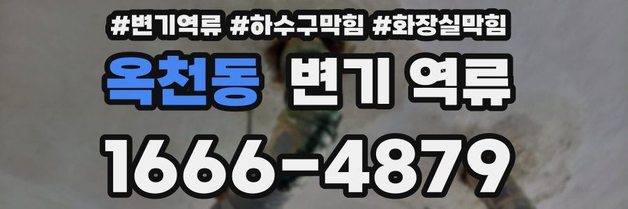 옥천동 변기 역류