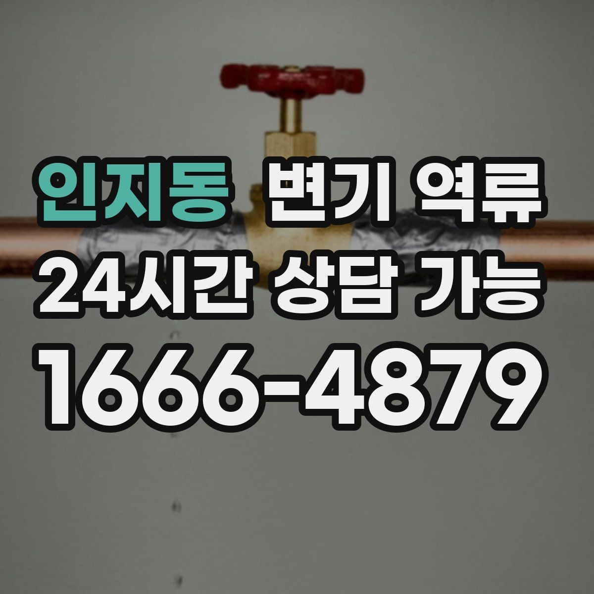인지동 변기 역류 꾸르륵 소리와 함께 올라올 때 의심할 것