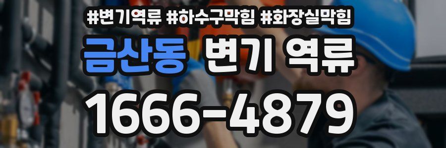 금산동 변기 역류