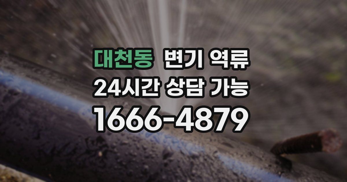 대천동 변기 역류