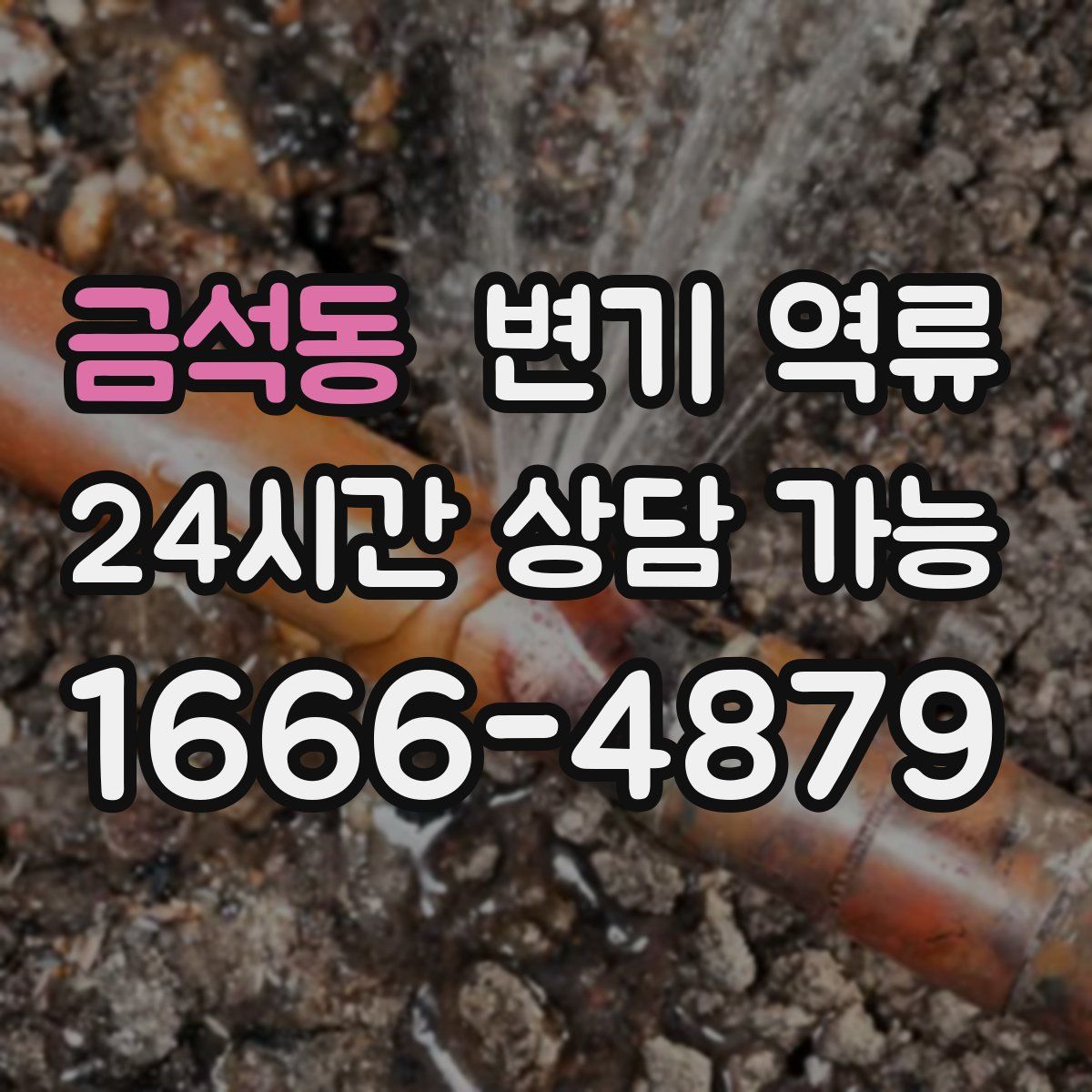 금석동 변기 역류