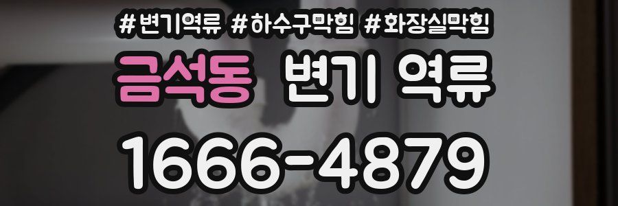 금석동 변기 역류