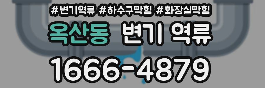 옥산동 변기 역류