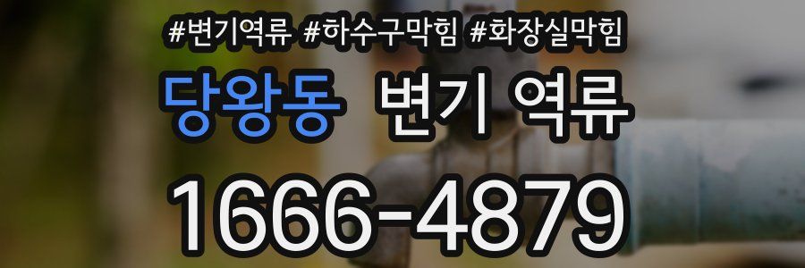 당왕동 변기 역류