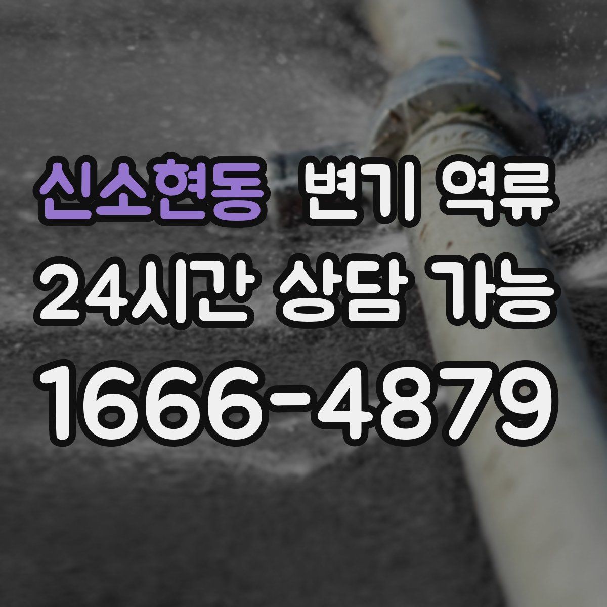 신소현동 변기 역류 이물질이 들어갔을 때 흔한 징후