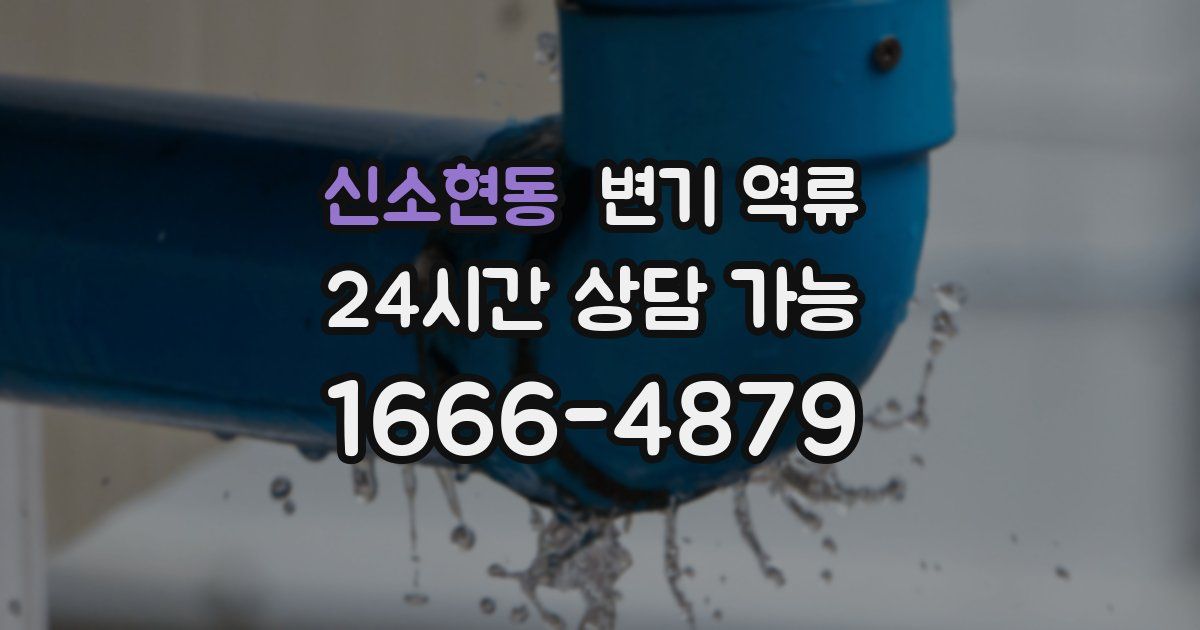 신소현동 변기 역류