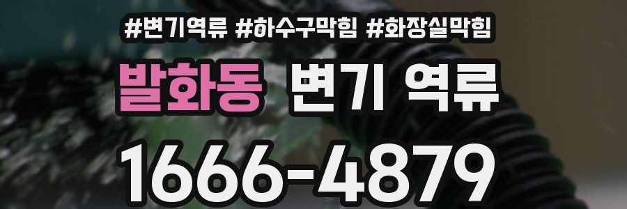 발화동 변기 역류