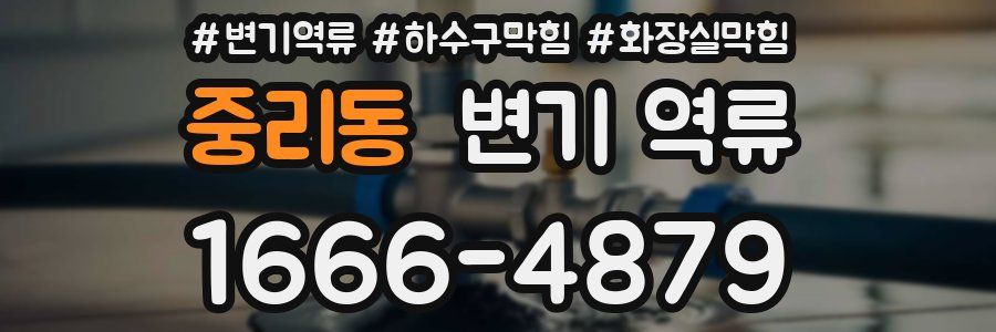 중리동 변기 역류