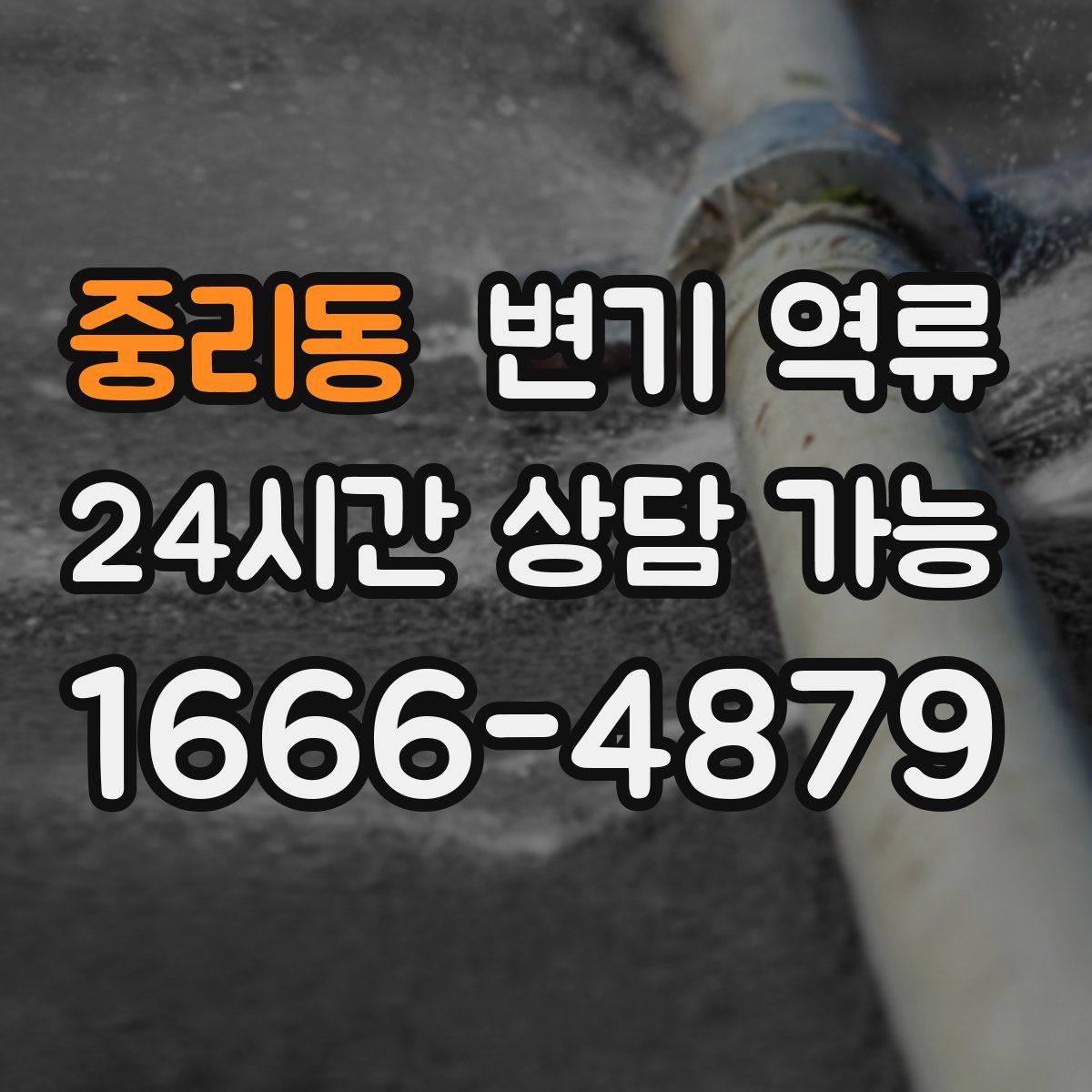 중리동 변기 역류