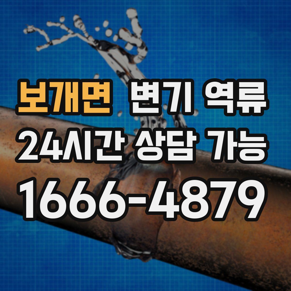 보개면 변기 역류