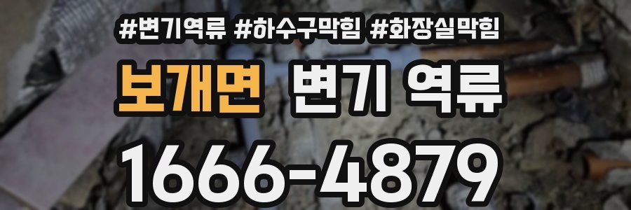 보개면 변기 역류