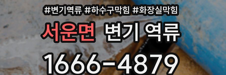 서운면 변기 역류