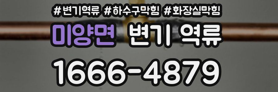 미양면 변기 역류