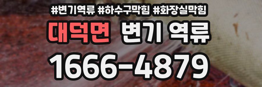 대덕면 변기 역류