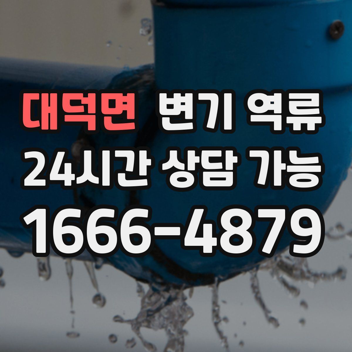 대덕면 변기 역류