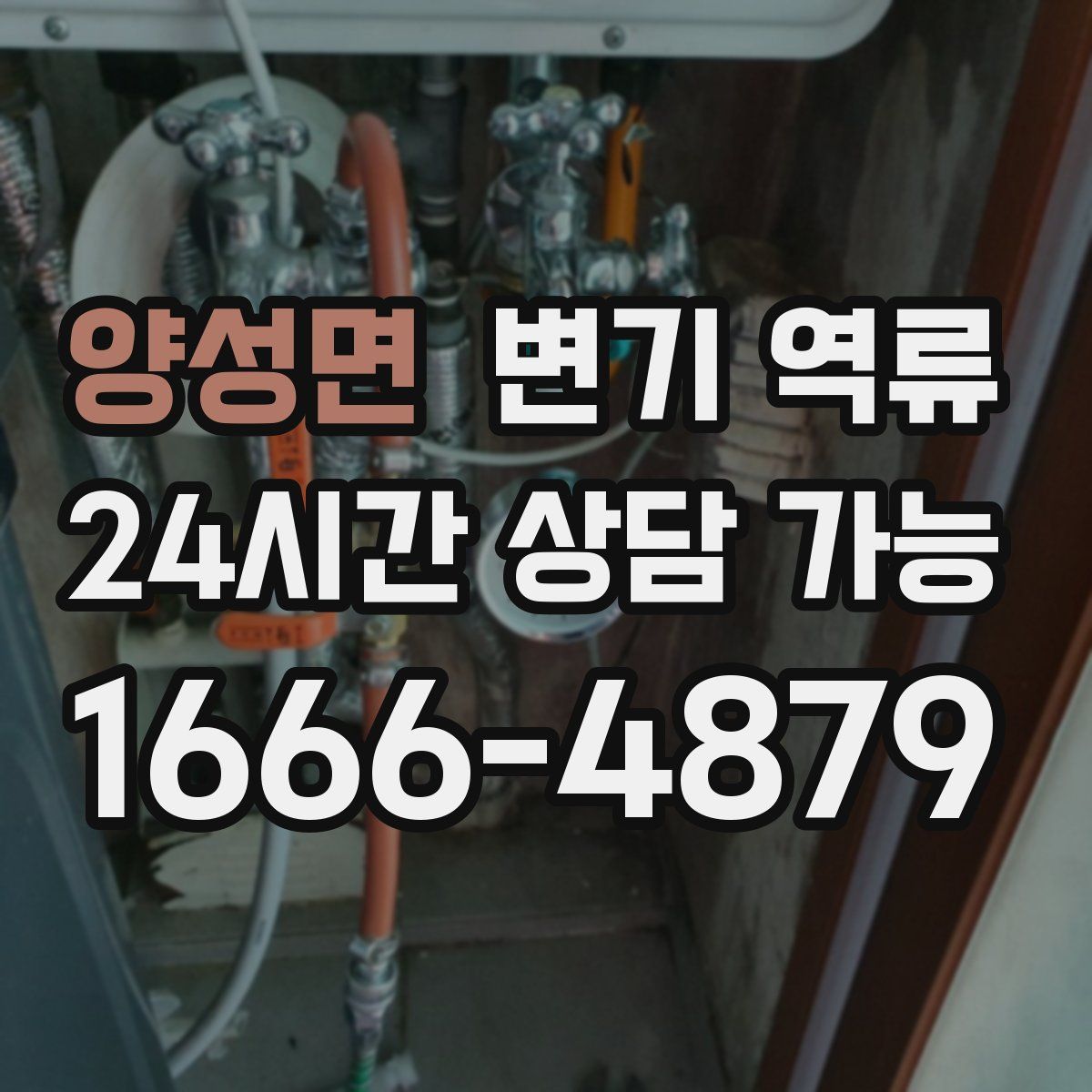 양성면 변기 역류