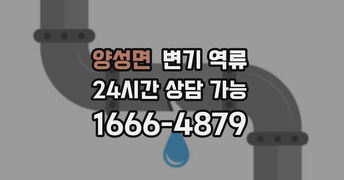 양성면 변기 역류