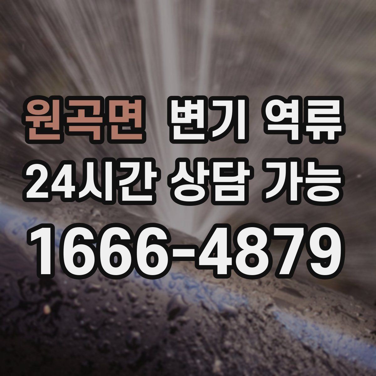 원곡면 변기 역류 원인별로 대응이 달라지는 이유를 정리