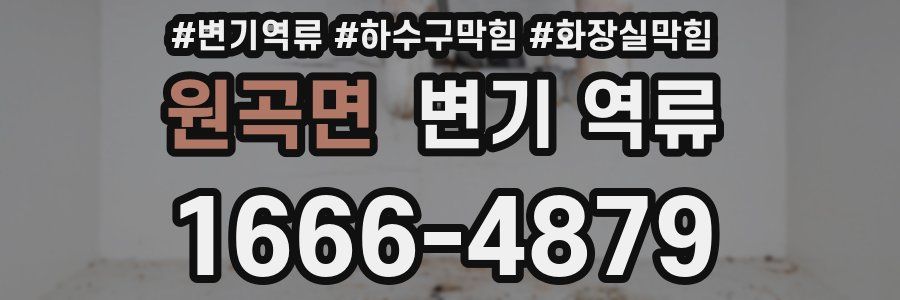 원곡면 변기 역류