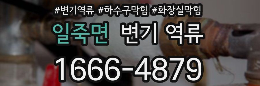 일죽면 변기 역류