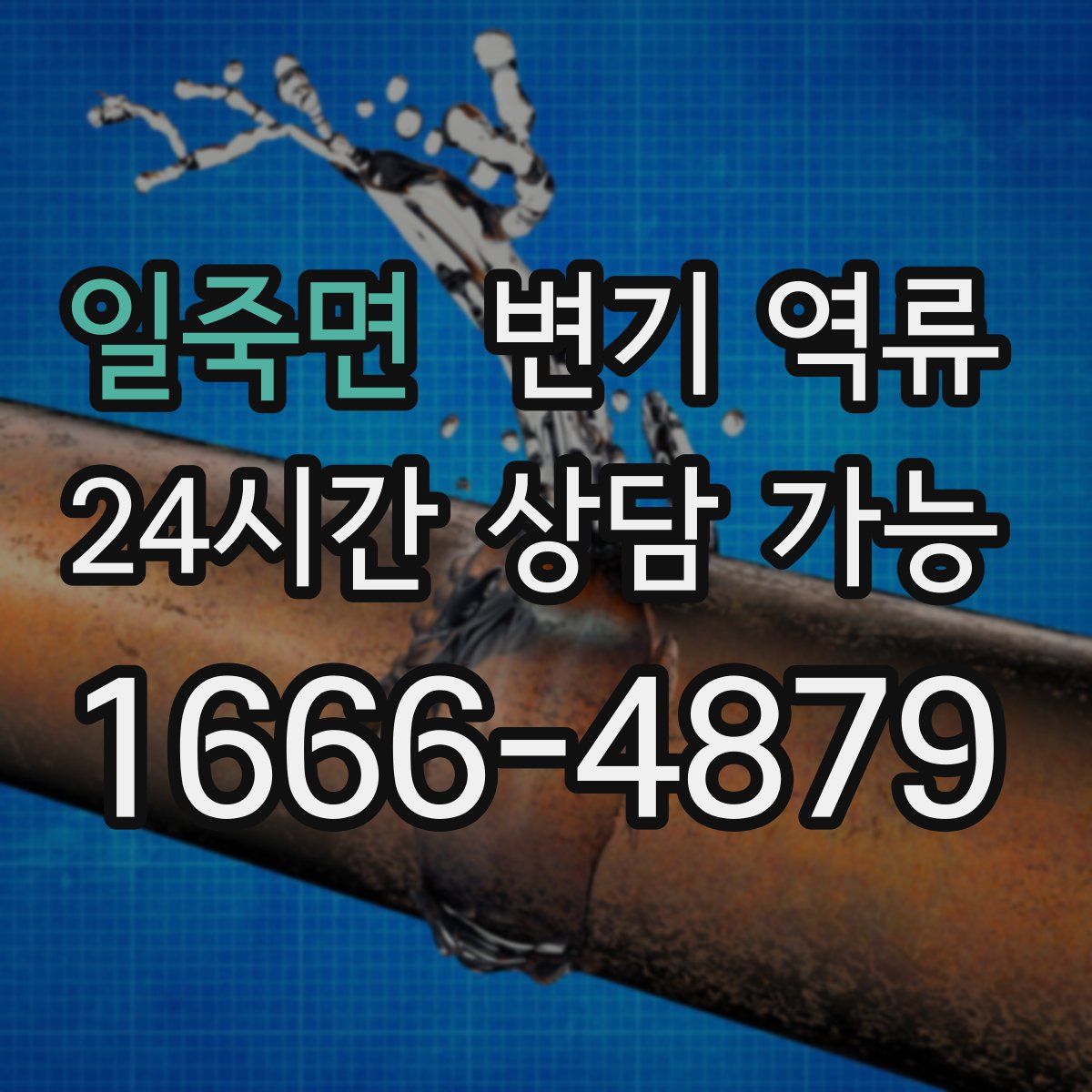 일죽면 변기 역류