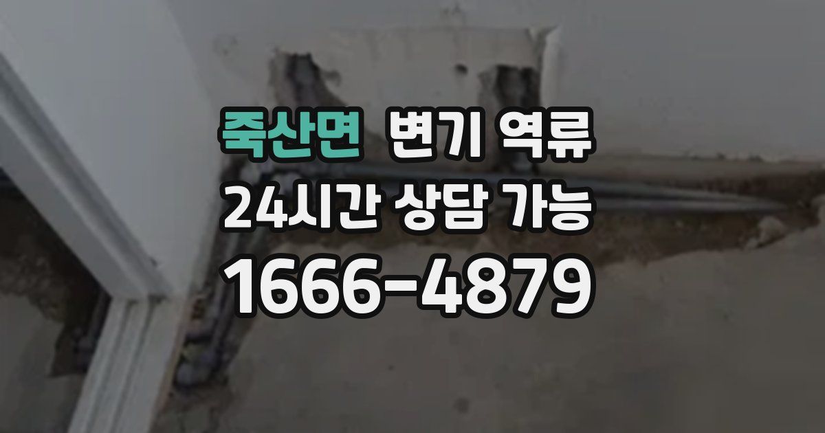 죽산면 변기 역류