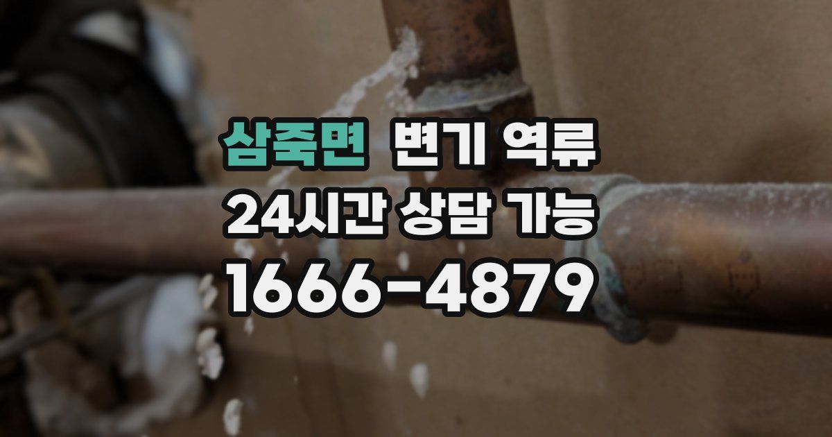 삼죽면 변기 역류