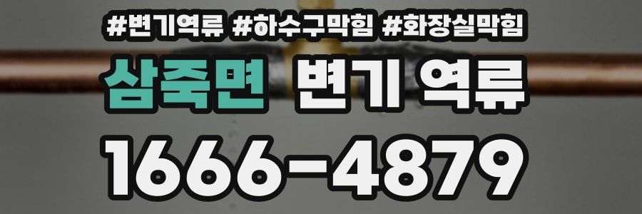 삼죽면 변기 역류