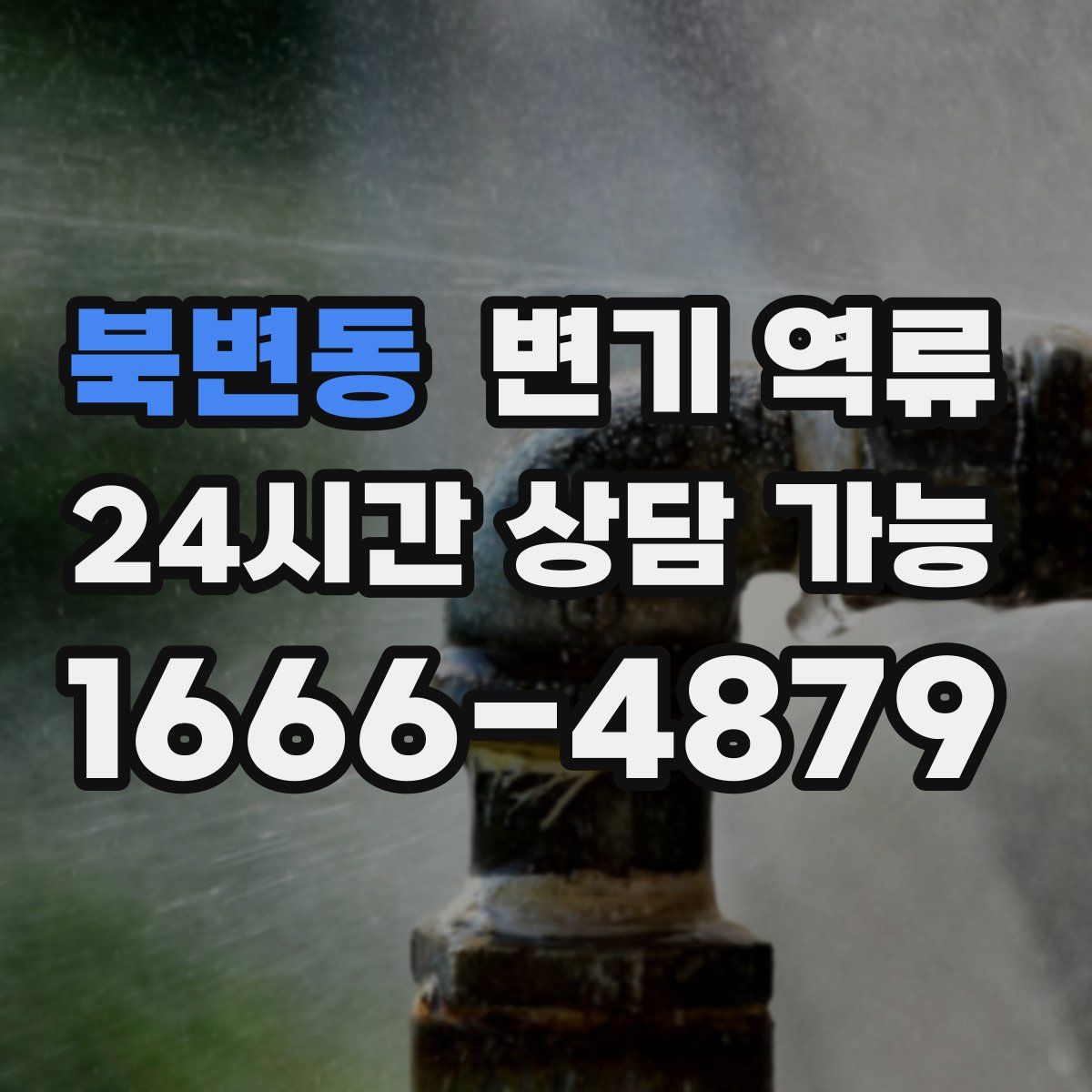 북변동 변기 역류