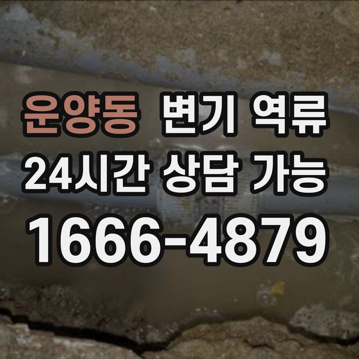 운양동 변기 역류 단순 막힘과 배관 역류를 구분하는 방법
