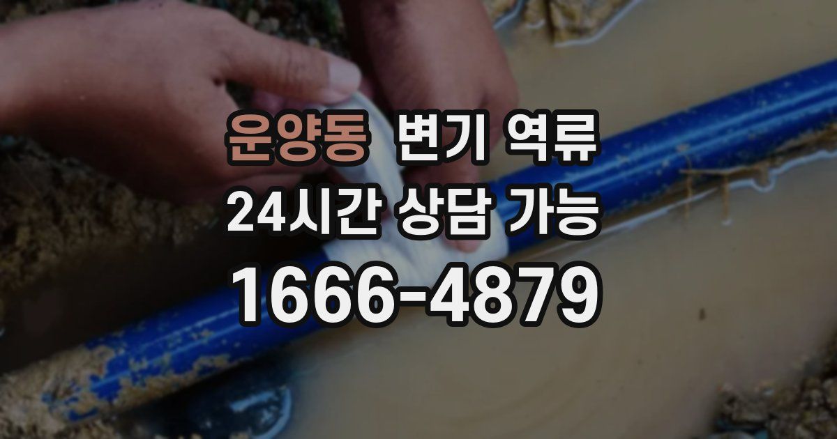 운양동 변기 역류