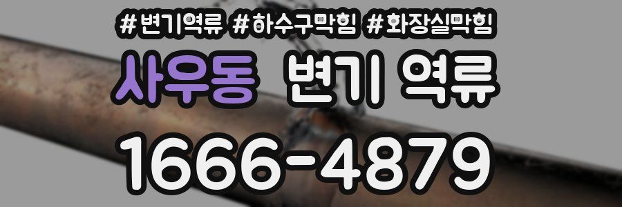 사우동 변기 역류